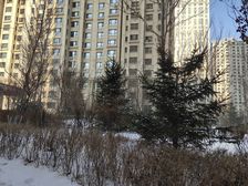 哈西纳帕英郡两室精装修南北通透出行方便