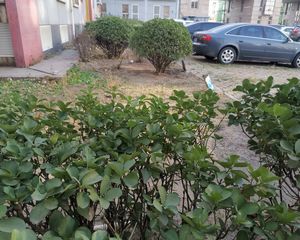 黄村中·华昱家园·3室·1厅