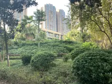 大城小爱 1室1厅 东南