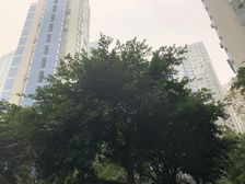 现代城 2室1厅 东南