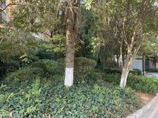 官渡区地铁口云大知城经典复式楼