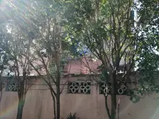 电梯房,楼层好,采光号,适宜人群广~生活配套齐全