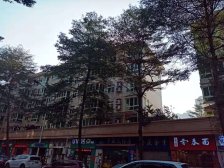 精装两房 看花园 人车分流 位置安静