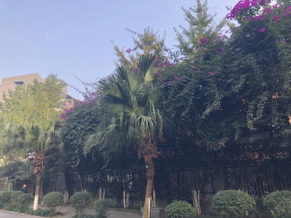 天府花园二期实景图