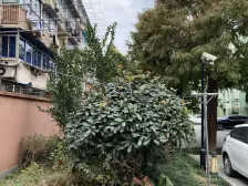 近复旦五院+鹤 北+江川体育馆+配套好生活便利