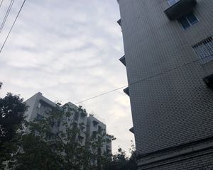 天府花园3室1厅南