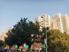 星城四期毛坯三房,楼龄新户型方正实用率高,满五唯一