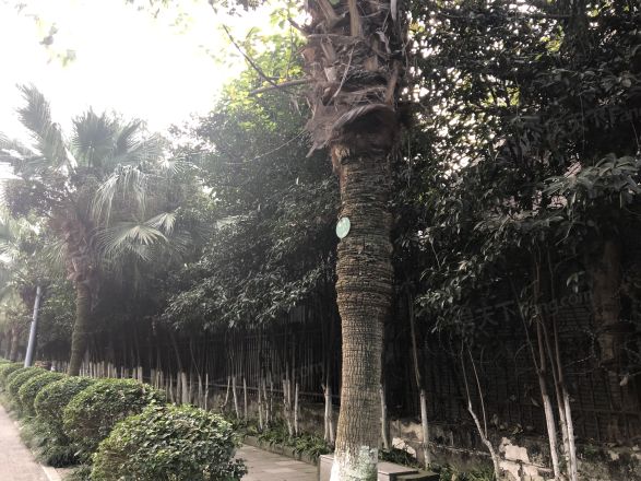 天府花园二期实景图