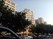 精装修3房,看园林景观,中间楼层,户型方正实用