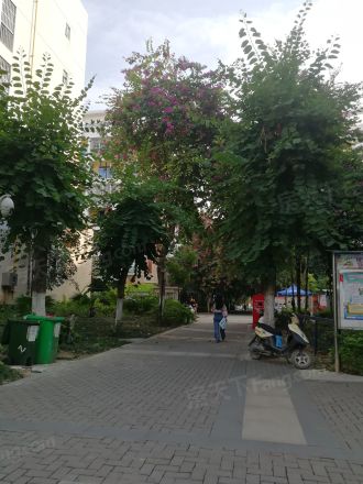 金禾湾实景图