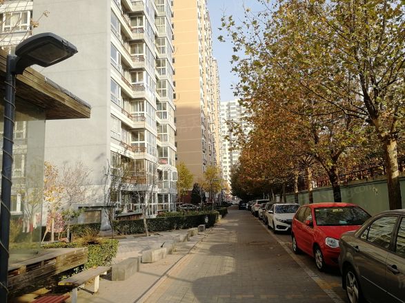 丽阳四季实景图