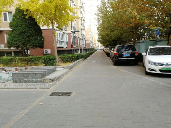 丽阳四季实景图