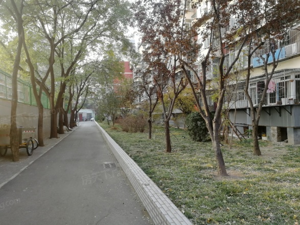 红莲中里实景图