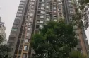 华润凤凰城二期实景图