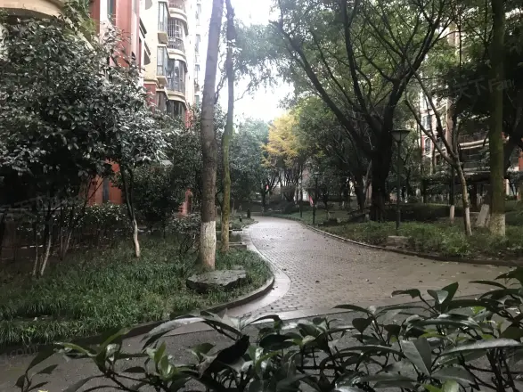 锦上华庭实景图