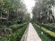 龙湖睿城 4室 2厅 247.8平米