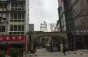 锦橙实景图