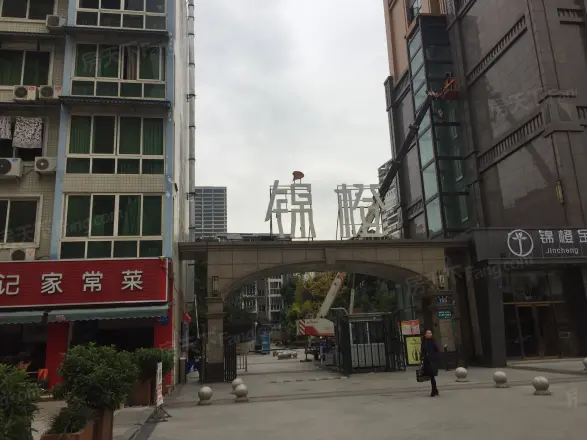 锦橙实景图