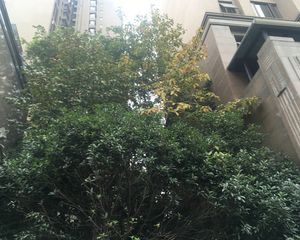 华润二十四城三期3室2厅西