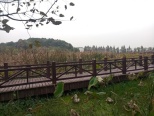 周边花山生态湿地公园