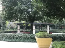 龙头寺 鲁能星城五街区三房143.5万