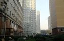丽阳四季实景图
