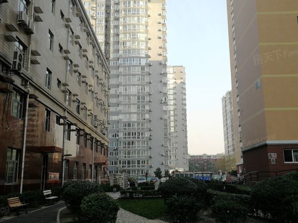 丽阳四季实景图
