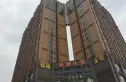 锦橙实景图