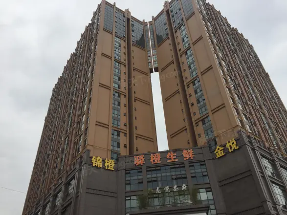 锦橙实景图