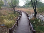 周边花山生态湿地公园