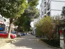 业主诚售!金色家园,中间楼层,采光足,看房方便