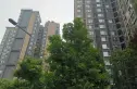 华润凤凰城二期实景图