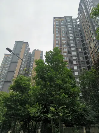 华润凤凰城二期实景图