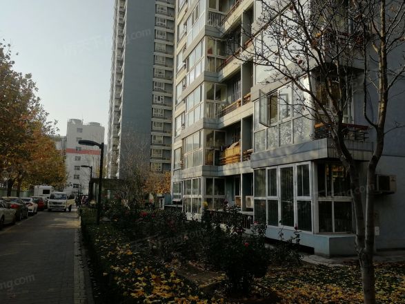 丽阳四季实景图