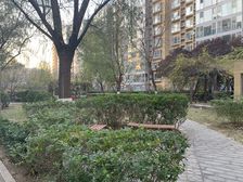 大河庄苑 1室1厅 东