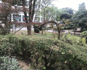 户型好,阳光充足,诚心出售,自住精装