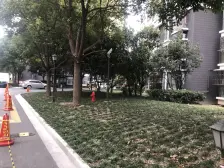 联星丽景苑 外环外 地铁100米,景观电梯房 南北贯通