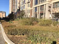 恒德橄榄季 1室1厅 南