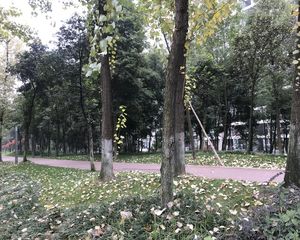 蓝光富丽花城3室1厅西