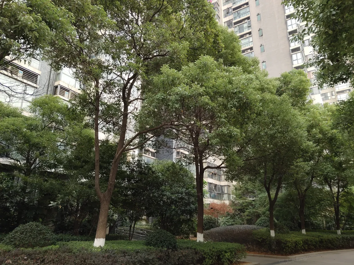 【南昌龙泉湾小区,二手房,租房】- 南昌房天下