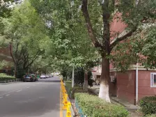 张泾新村二区 5室2厅 南