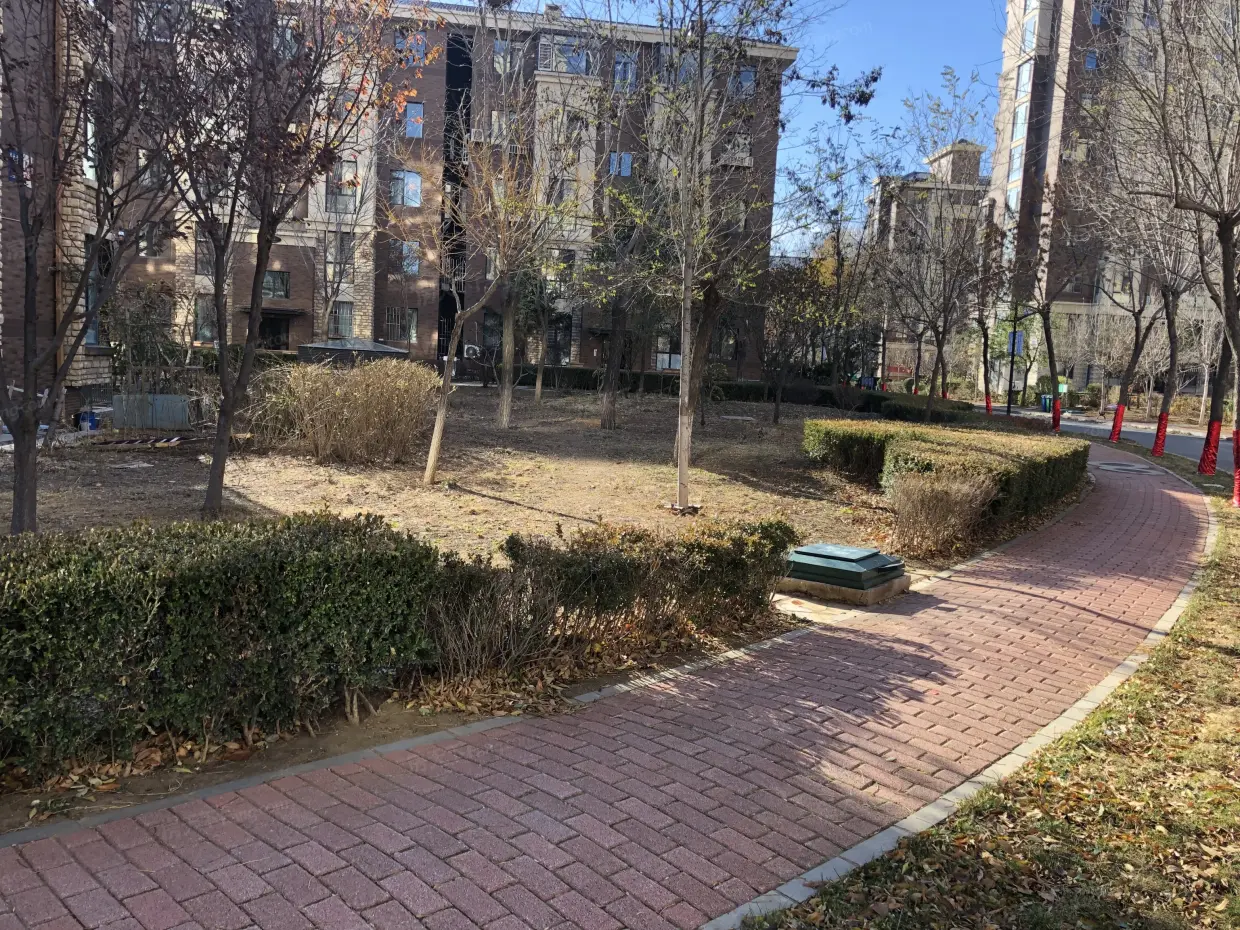 【大连橄榄季小区,二手房,租房 大连房天下