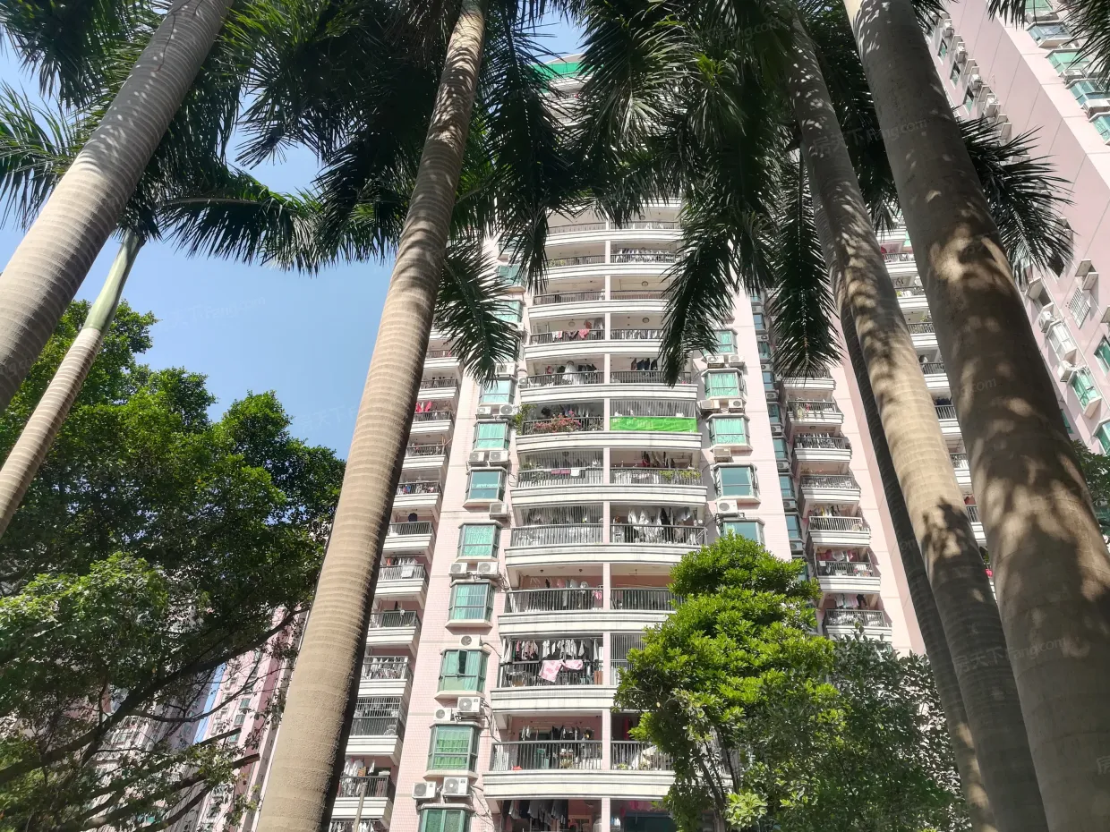 【广州金雅苑小区,二手房,租房】- 广州房天下