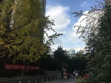 景茂城果2室1厅东西