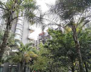 棕榈南岸3室2厅南