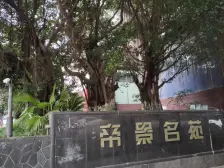 南坪 帝豪峰 顶跃 视野开阔 配套齐全