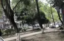 东林小区实景图
