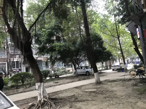 东林小区实景图