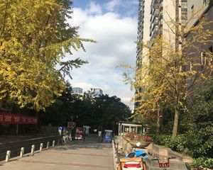 景茂城果2室1厅南
