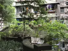 临华路 1室1厅 南